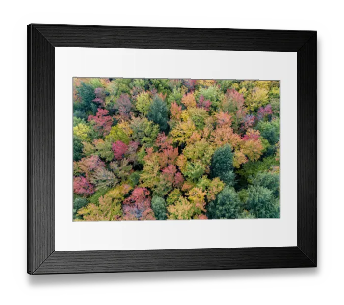 Framed Print : Aerial view of Hugoboom Lake in fall color, Alger County, Michigan Framed Print : Aerial view of Hugoboom Lake in fall color, Alger County, Michigan