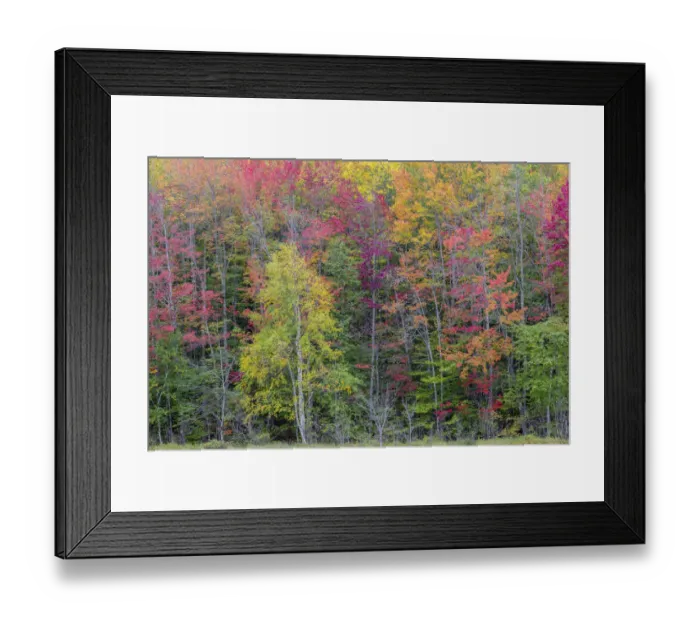 Framed Print : Thornton Lake in fall color, Alger County, Michigan