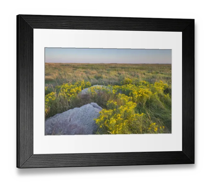 Framed Print : Touch the Sky Prairie southwest, Minnesota Framed Print : Touch the Sky Prairie southwest, Minnesota