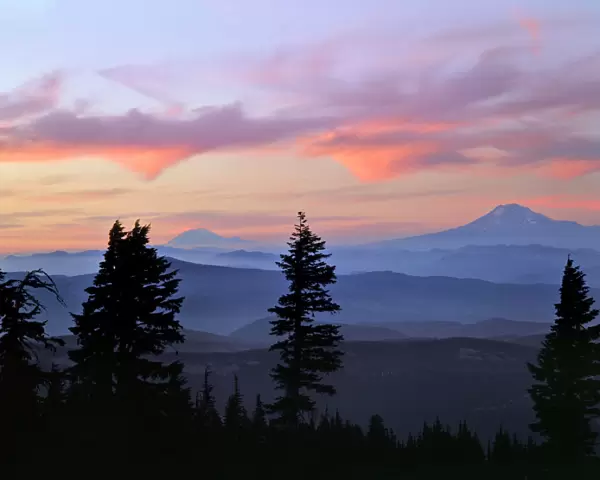 USA, Washington State. Sunset landscape with Mt. Adams and Mt. Rainier