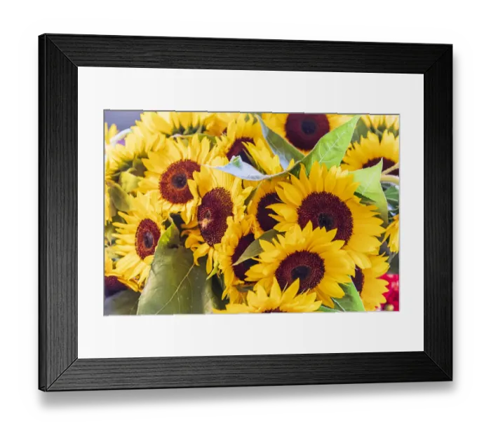 Framed Print : USA, Washington State, Seattle, Pike Place Market. Sunflowers for sale