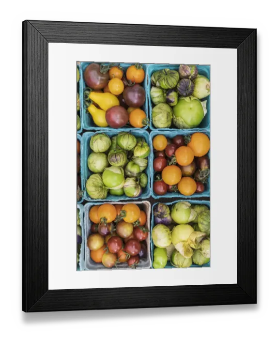 Framed Print : USA, Washington State, Vancouver. Fresh heirloom tomatoes for sale at a farmers market
