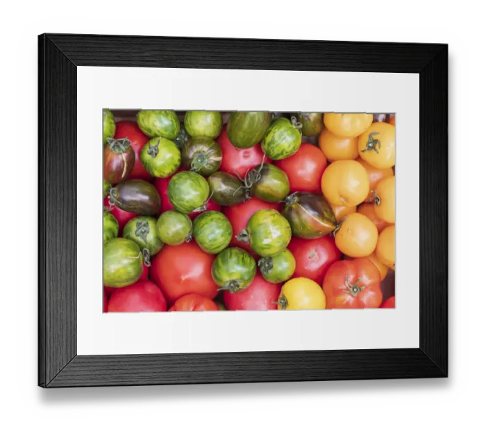 Framed Print : USA, Washington State, Vancouver. Fresh heirloom tomatoes for sale at a farmers market Framed Print : USA, Washington State, Vancouver. Fresh heirloom tomatoes for sale at a farmers market