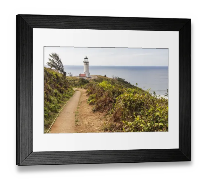 Framed Print : USA, Washington State, Ilwaco, Cape Disappointment State Park