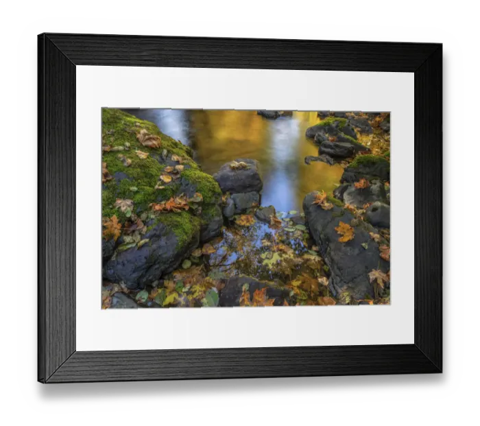 Framed Print : USA, Washington State, Olympic National Forest. Reflections of autumn in Rocky Creek