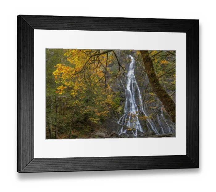 Framed Print : USA, Washington State, Olympic National Forest. Rocky Brook Falls and forest Framed Print : USA, Washington State, Olympic National Forest. Rocky Brook Falls and forest