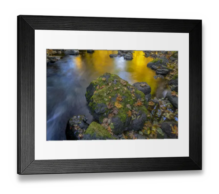 Framed Print : USA, Washington State, Olympic National Forest. Reflections of autumn in Rocky Creek Framed Print : USA, Washington State, Olympic National Forest. Reflections of autumn in Rocky Creek