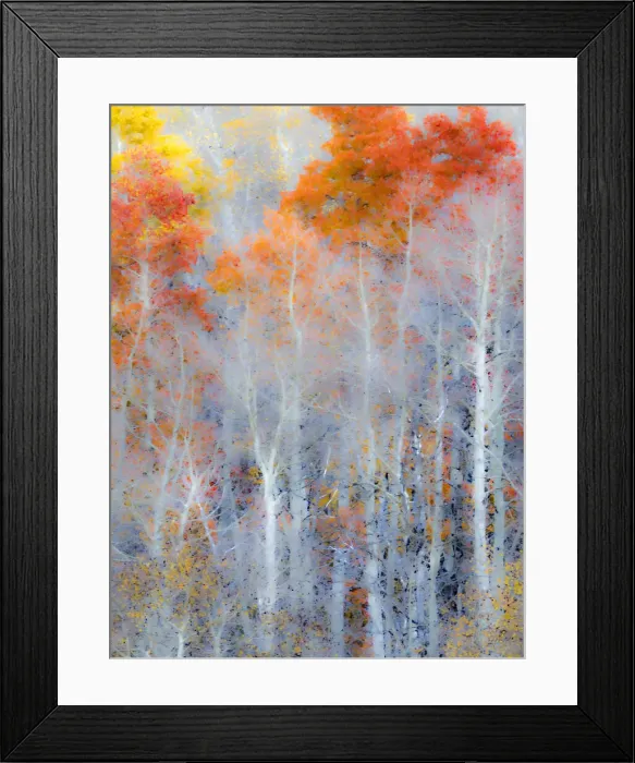 Framed Print : USA, Utah, Logan Pass. Autumn colors in Logan Pass Utah