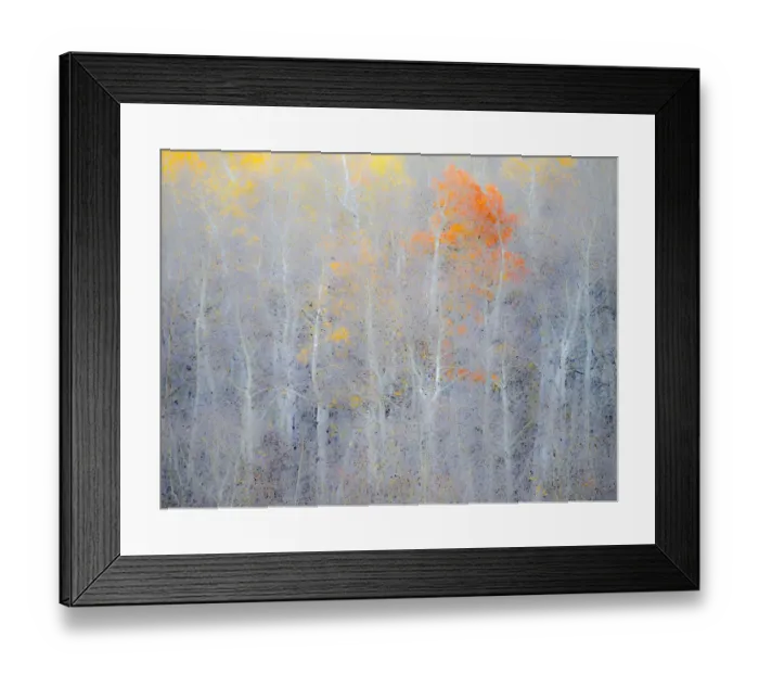 Framed Print : USA, Utah, Logan Pass. Autumn colors in Logan Pass Utah Framed Print : USA, Utah, Logan Pass. Autumn colors in Logan Pass Utah