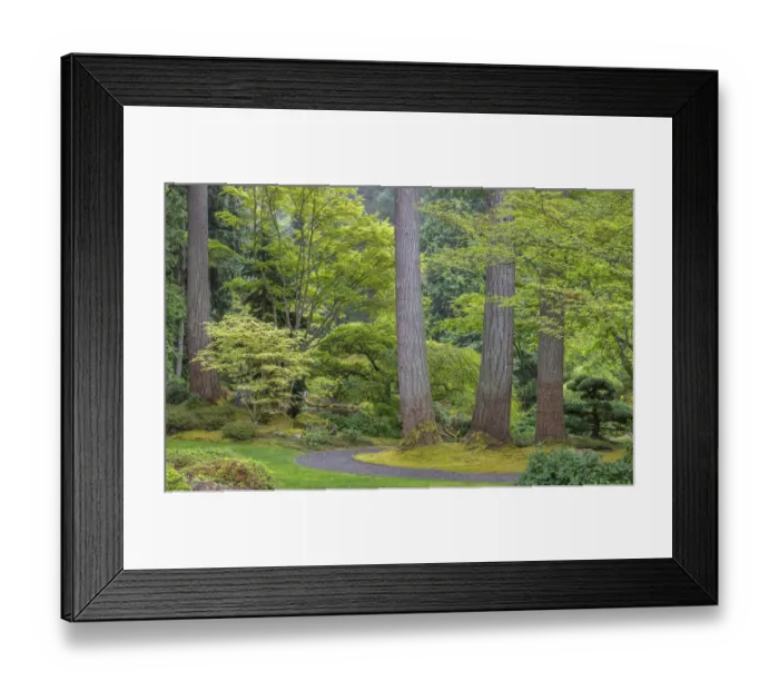 Framed Print : USA, Washington State, Bainbridge Island. Garden path composite panoramic Framed Print : USA, Washington State, Bainbridge Island. Garden path composite panoramic