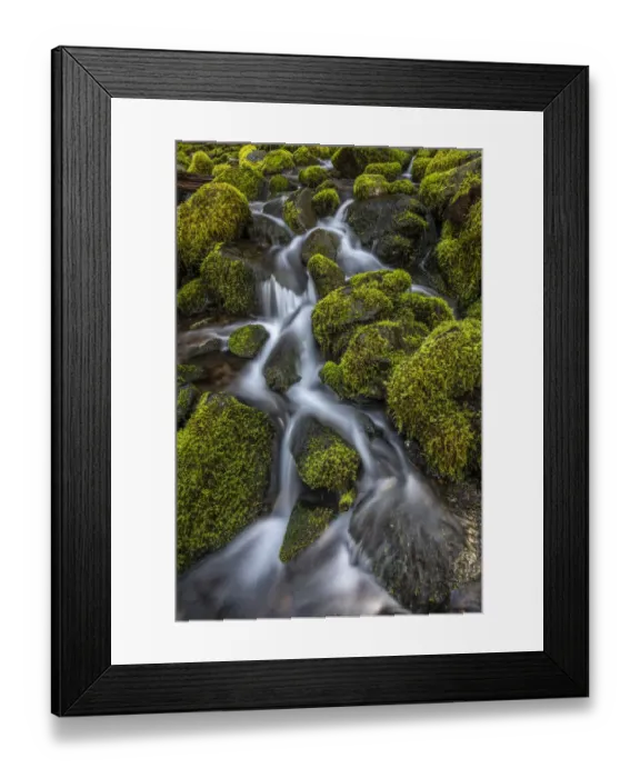 Framed Print : USA, Washington State, Olympic National Park. Cedar Creek scenic Framed Print : USA, Washington State, Olympic National Park. Cedar Creek scenic