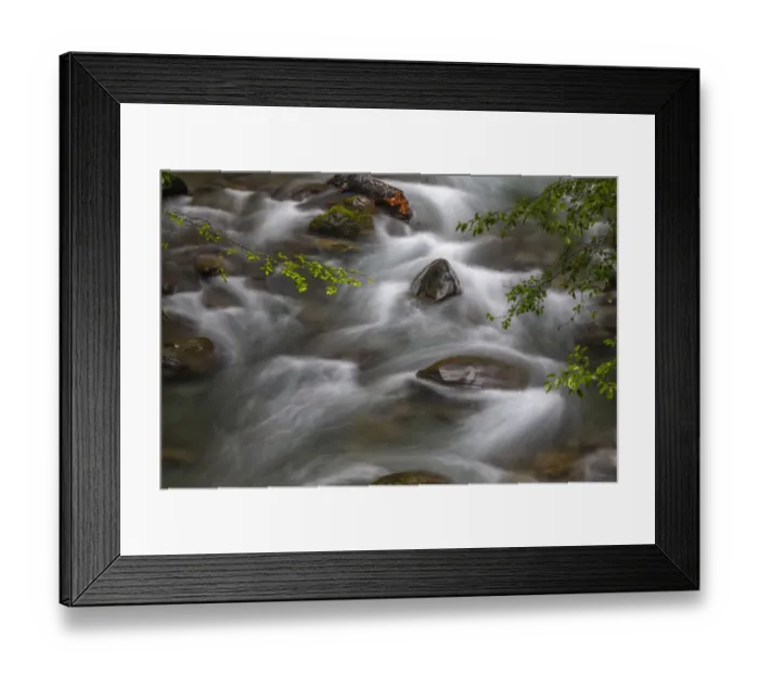 Framed Print : USA, Washington State, Olympic National Park. Dungeness River rapids Framed Print : USA, Washington State, Olympic National Park. Dungeness River rapids