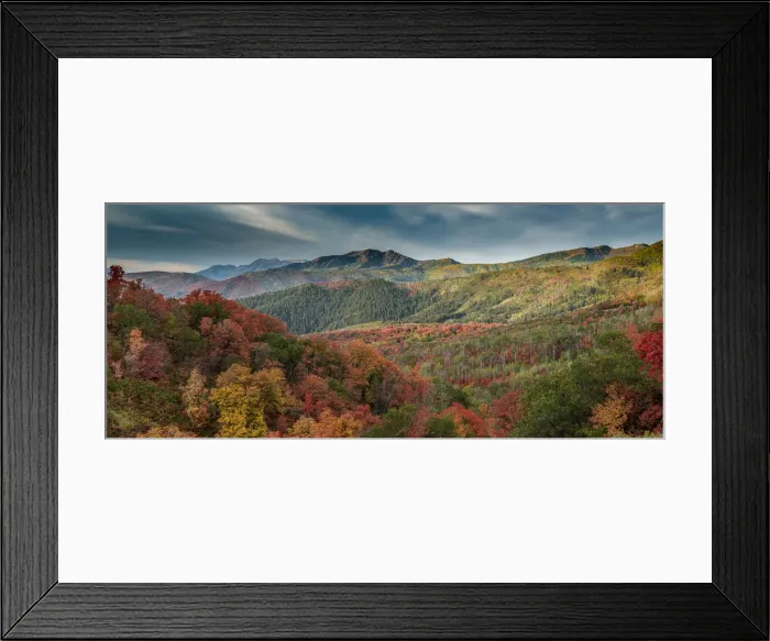 Framed Print : Multicolored fall panoramic landscape, Wasatch Mountains, near Park City and Midway, Utah Framed Print : Multicolored fall panoramic landscape, Wasatch Mountains, near Park City and Midway, Utah