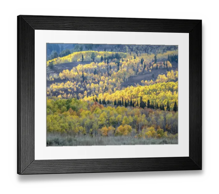 Framed Print : USA, Utah, Logan Pass. Autumn colors in Logan Pass Utah Framed Print : USA, Utah, Logan Pass. Autumn colors in Logan Pass Utah