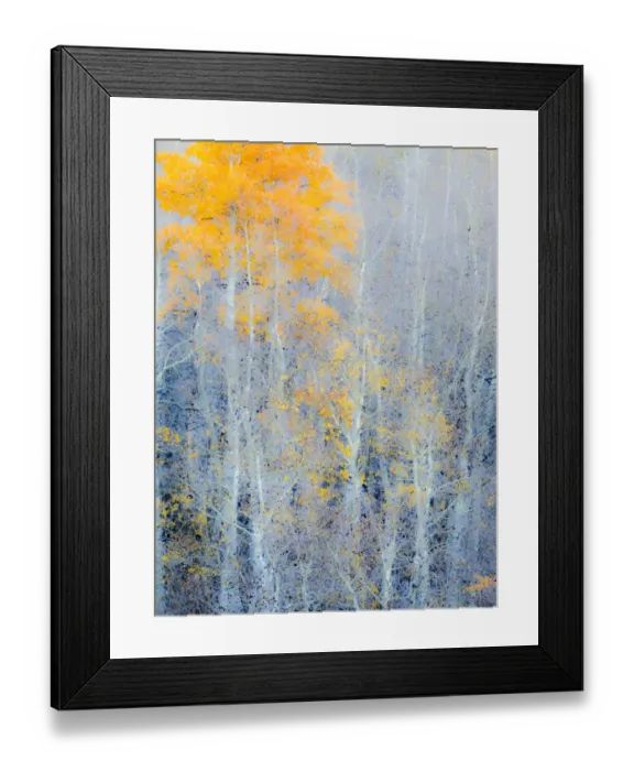 Framed Print : USA, Utah, Logan Pass. Autumn colors in Logan Pass Utah