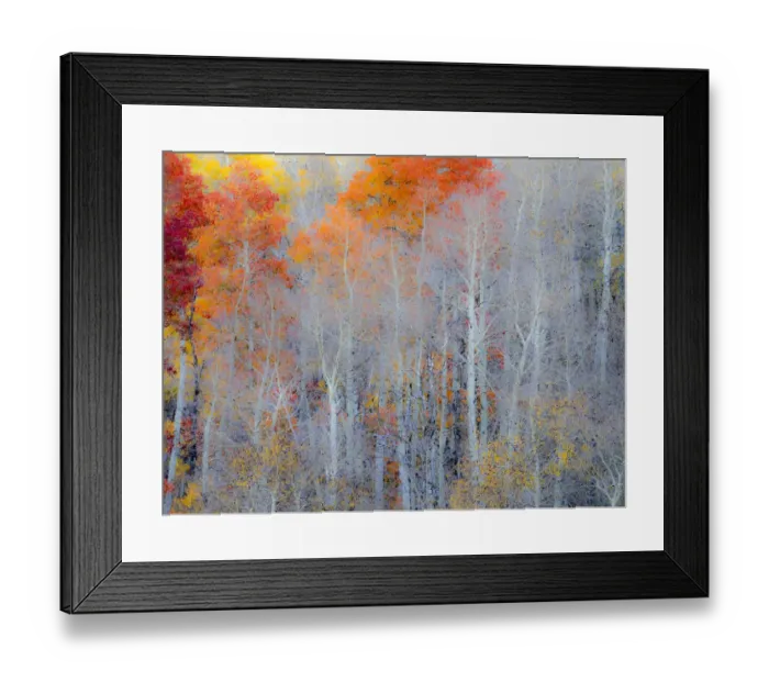 Framed Print : USA, Utah, Logan Pass. Autumn colors in Logan Pass Utah Framed Print : USA, Utah, Logan Pass. Autumn colors in Logan Pass Utah