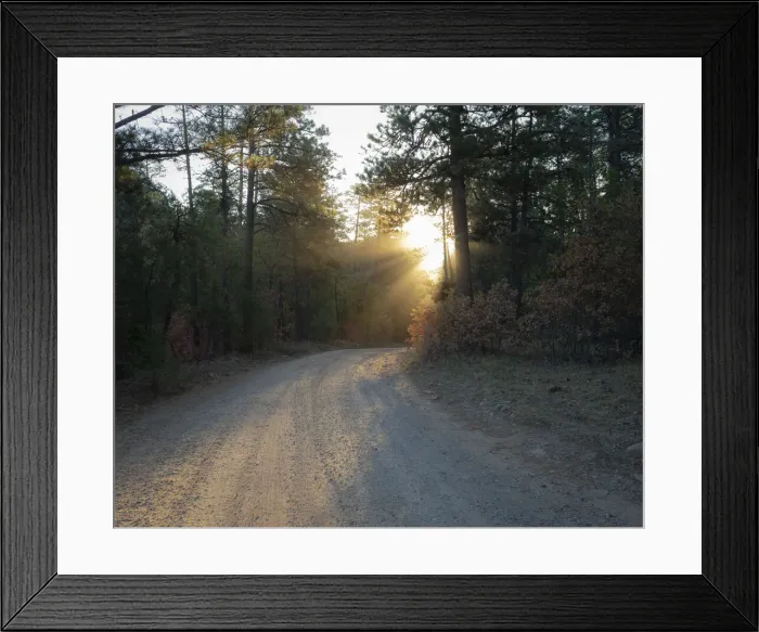 Framed Print : Forest Roads at sunrise, Manzano Mountain Wilderness, Cibola National Forest, New Mexico Framed Print : Forest Roads at sunrise, Manzano Mountain Wilderness, Cibola National Forest, New Mexico
