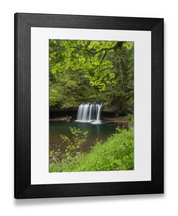 Framed Print : Upper Butte Creek Falls Cascade Range, Oregon Framed Print : Upper Butte Creek Falls Cascade Range, Oregon