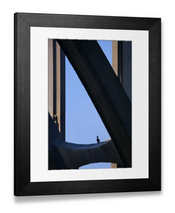 Framed Print : USA, Oregon, Newport. Cormorant resting on support beam of Yaquina Bay Bridge Framed Print : USA, Oregon, Newport. Cormorant resting on support beam of Yaquina Bay Bridge