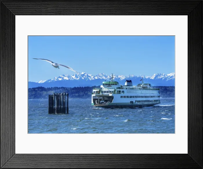 Framed Print : Seagull and Washington State Ferry, Olympic Mountains, Edmonds, Washington State Framed Print : Seagull and Washington State Ferry, Olympic Mountains, Edmonds, Washington State