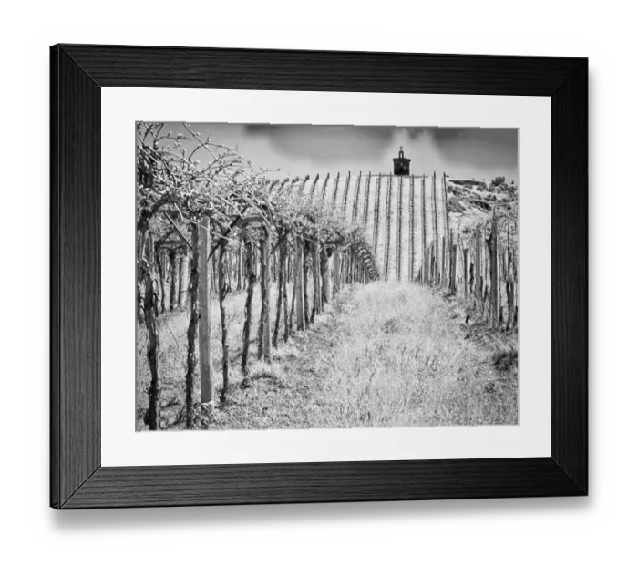 Framed Print : Spring vineyard and chapel on top of hill. (PR) Framed Print : Spring vineyard and chapel on top of hill. (PR)
