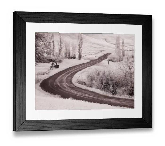 Framed Print : Backroad leading through Spring wildflowers