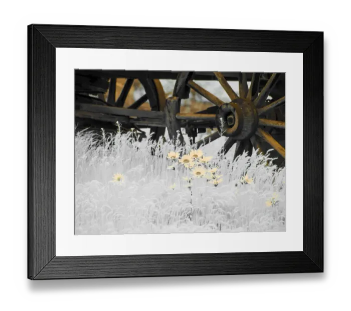 Framed Print : Wagon wheels with Spring wildflowers Framed Print : Wagon wheels with Spring wildflowers