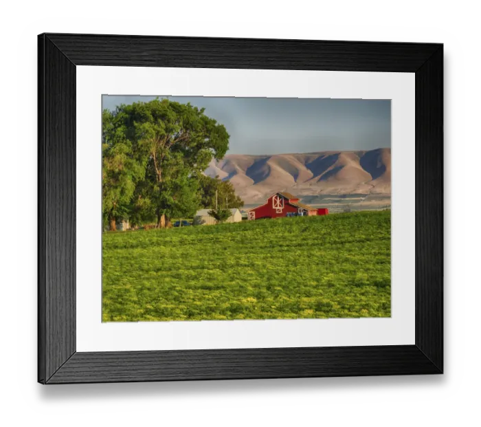 Framed Print : Evening light on red barn Framed Print : Evening light on red barn