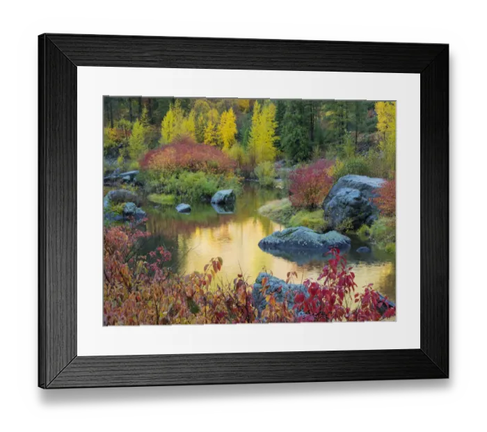 Framed Print : WA, Tumwater Canyon, Autumn reflection Framed Print : WA, Tumwater Canyon, Autumn reflection