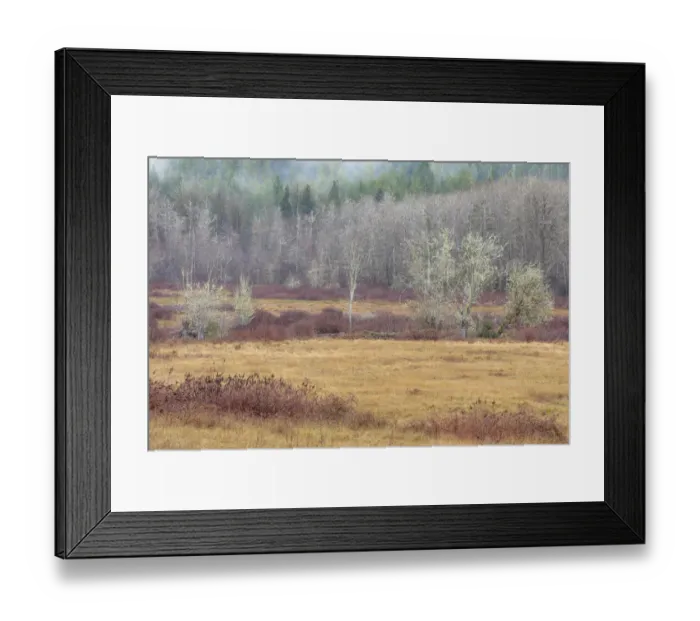 Framed Print : USA, Washington State, Dewatto. Autumn meadow and forest Framed Print : USA, Washington State, Dewatto. Autumn meadow and forest