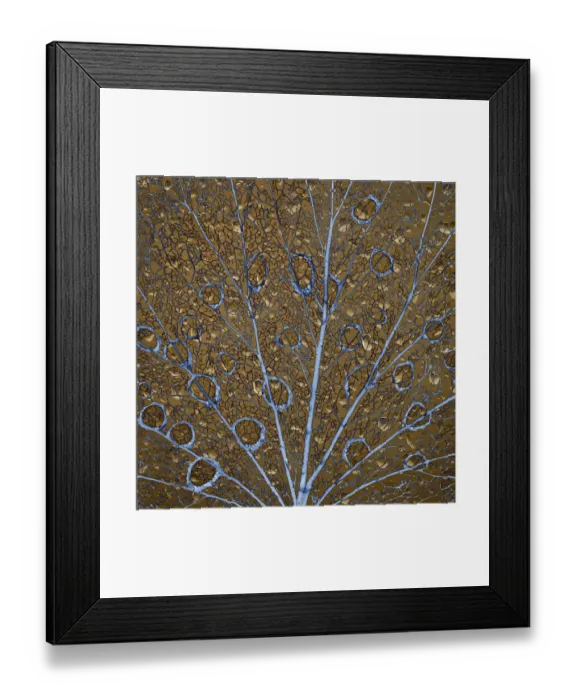 Framed Print : An abstraction of water drops on a skeletonized cottonwood leaf Framed Print : An abstraction of water drops on a skeletonized cottonwood leaf