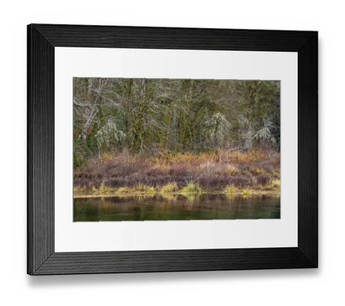 Framed Print : USA, Washington State, Hood Canal. Forest reflects in canal Framed Print : USA, Washington State, Hood Canal. Forest reflects in canal