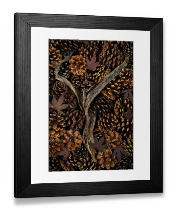 Framed Print : USA, Washington State, Seabeck. Pine cones and fall leaves