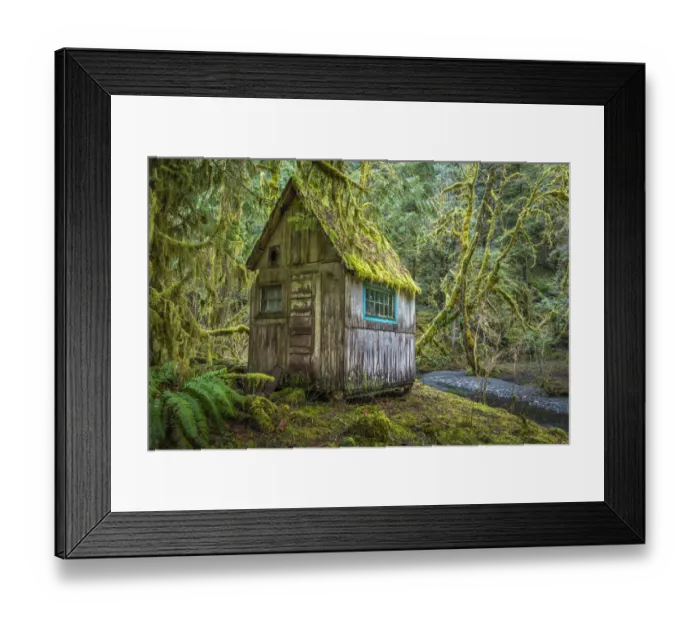 Framed Print : USA, Washington State, Olympic National Park. Tolkien-like abandoned cabin