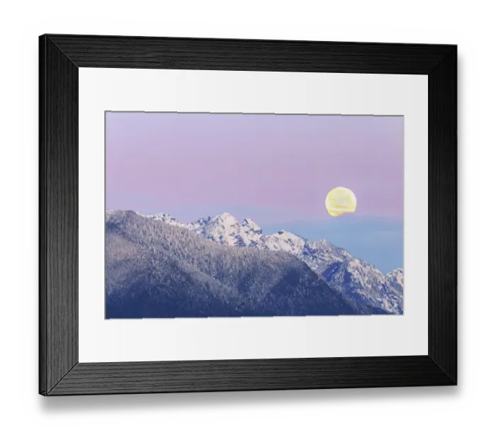 Framed Print : USA, Washington State. Moon setting over the Olympic Mountains at sunrise Framed Print : USA, Washington State. Moon setting over the Olympic Mountains at sunrise