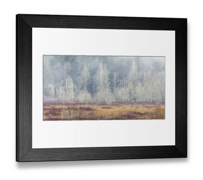 Framed Print : USA, Washington State, Dewatto. Panoramic of autumn meadow and forest Framed Print : USA, Washington State, Dewatto. Panoramic of autumn meadow and forest
