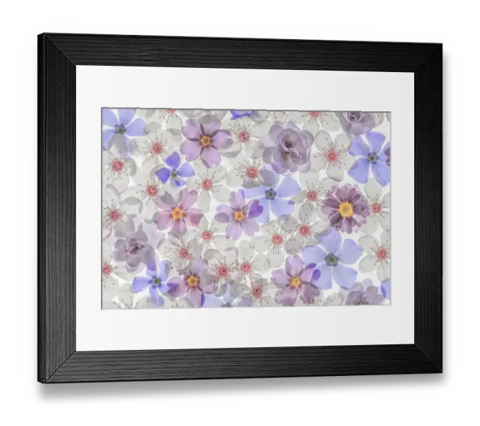 Framed Print : USA, Washington State, Seabeck. Montage of spring flowers