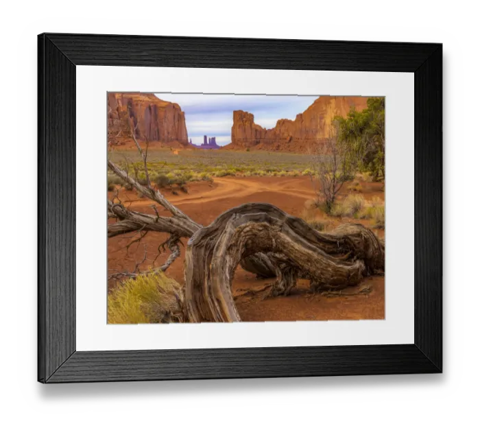 Framed Print : USA, Utah, Monument Valley. Landscape and dead tree. Credit as Framed Print : USA, Utah, Monument Valley. Landscape and dead tree. Credit as