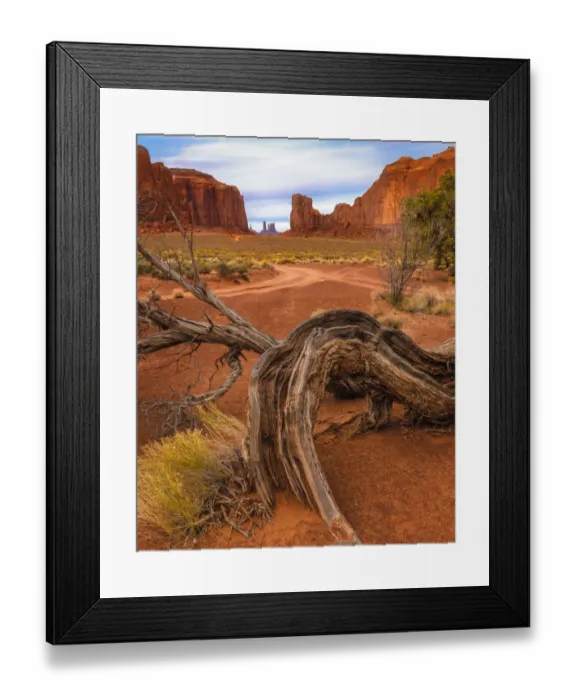 Framed Print : USA, Utah, Monument Valley. Landscape and dead tree. Credit as
