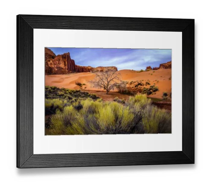 Framed Print : USA, Utah, Monument Valley. Landscape and dead tree. Credit as Framed Print : USA, Utah, Monument Valley. Landscape and dead tree. Credit as