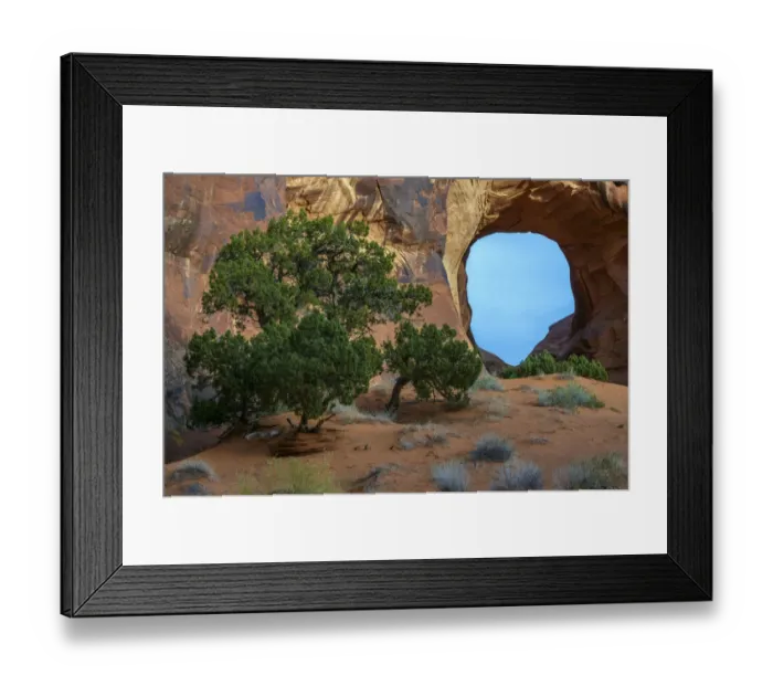Framed Print : USA, Utah, Monument Valley. Landscape with sandstone formations and trees
