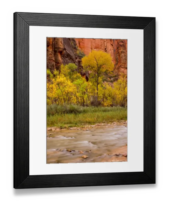 Framed Print : USA, Zion National Park, Fall Colors Framed Print : USA, Zion National Park, Fall Colors
