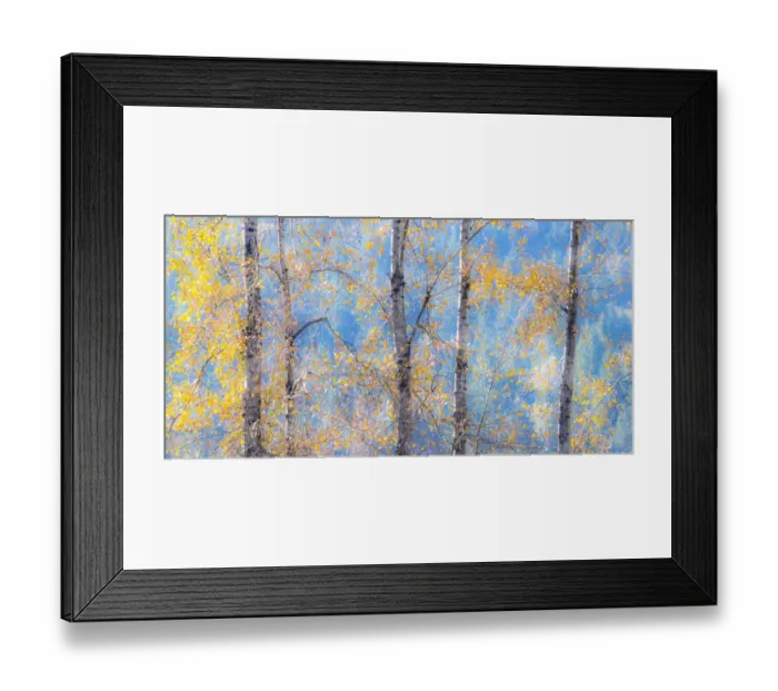 Framed Print : USA, Washington State, Preston with Cottonwood trees springtime leafing out