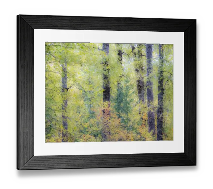 Framed Print : USA, Washington State, Easton, Eastern Washington fall colors with vine maple