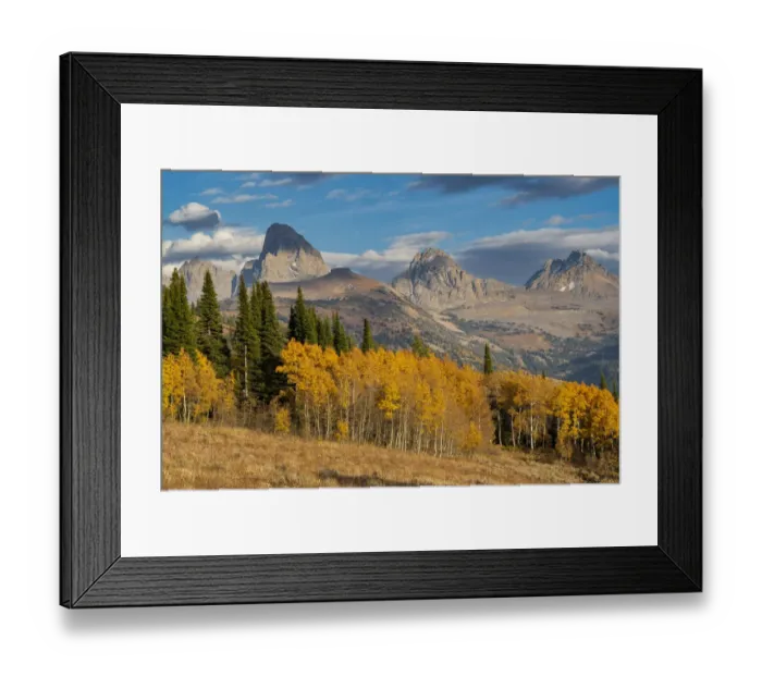 Framed Print : Landscape of Mt. Owen, Grand Teton and Middle Teton from the west, golden fall foliage Framed Print : Landscape of Mt. Owen, Grand Teton and Middle Teton from the west, golden fall foliage