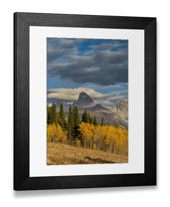 Framed Print : Landscape of Mt. Owen, Grand Teton and Middle Teton from the west, golden fall foliage Framed Print : Landscape of Mt. Owen, Grand Teton and Middle Teton from the west, golden fall foliage