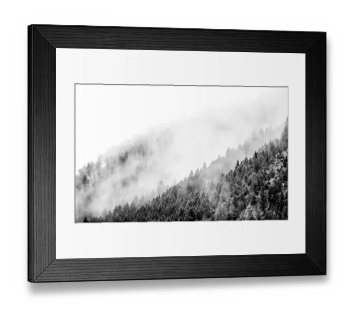 Framed Print : USA, Wyoming, Hoback, clouds intermingling with evergreens on rainy morning in black Framed Print : USA, Wyoming, Hoback, clouds intermingling with evergreens on rainy morning in black