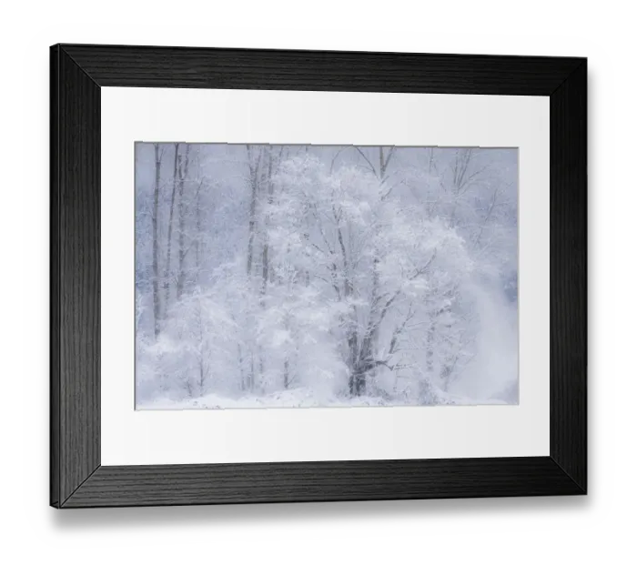 Framed Print : USA, Washington State, Fall City valley with fresh snows on Cottonwoods Framed Print : USA, Washington State, Fall City valley with fresh snows on Cottonwoods