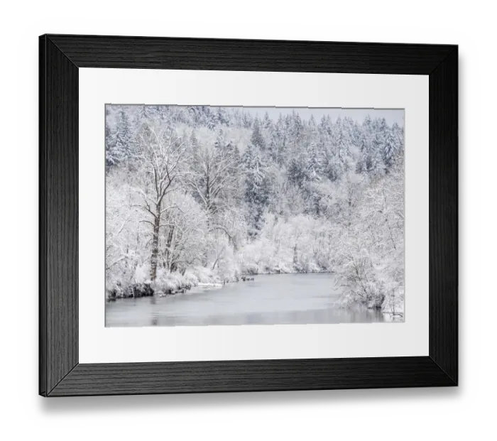 Framed Print : USA, Washington State, Fall City and the Snoqualmie river with winter fresh snow fall Framed Print : USA, Washington State, Fall City and the Snoqualmie river with winter fresh snow fall