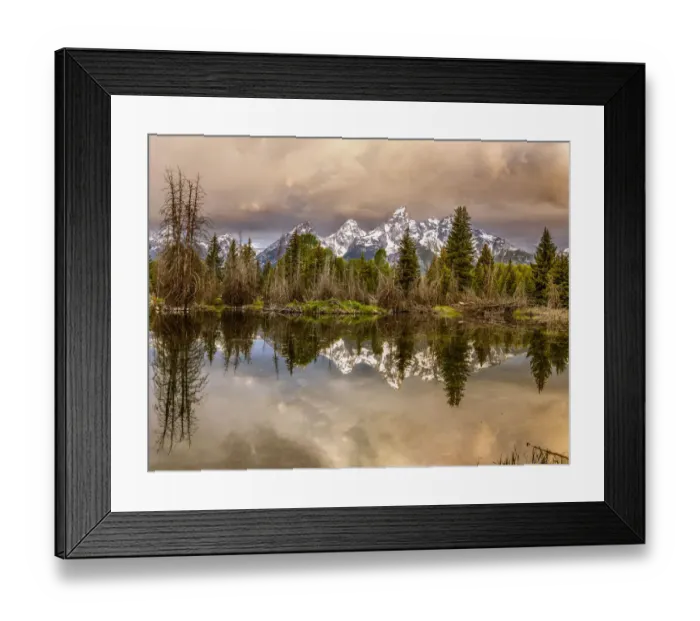 Framed Print : Schwabacher Landing, Tetons, Wyoming Framed Print : Schwabacher Landing, Tetons, Wyoming